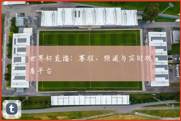 世界杯直播：赛程、频道与实时观看平台
